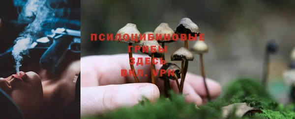 spice Абдулино