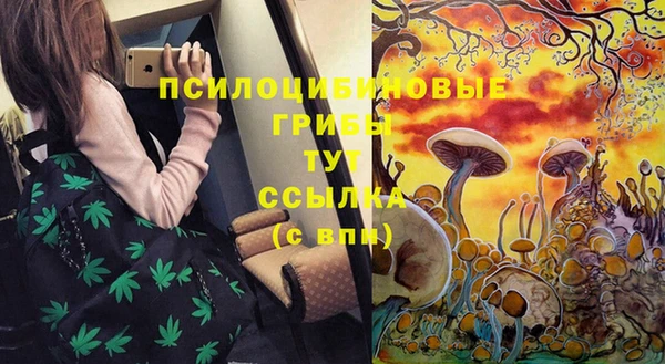 2c-b Алексеевка