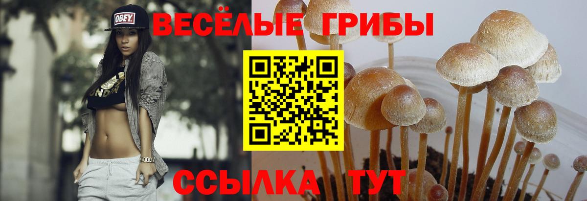 Галлюциногенные грибы GOLDEN TEACHER  Вход с VPN  Уварово 
